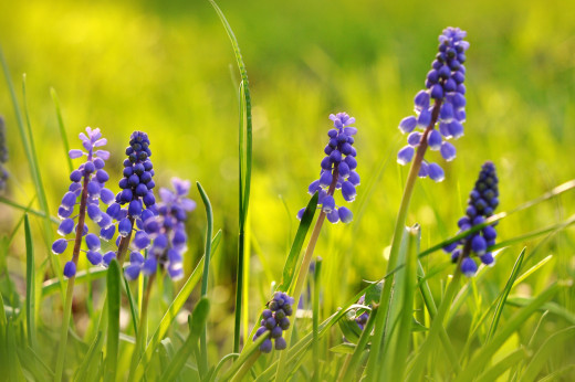 735256 (a): :2800x1860